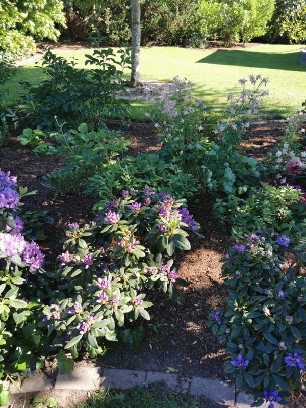 Garten- und Landschaftsbau – Einsatzbild