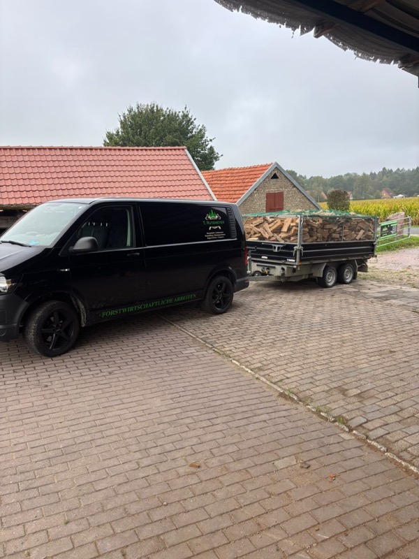 Kaminholz