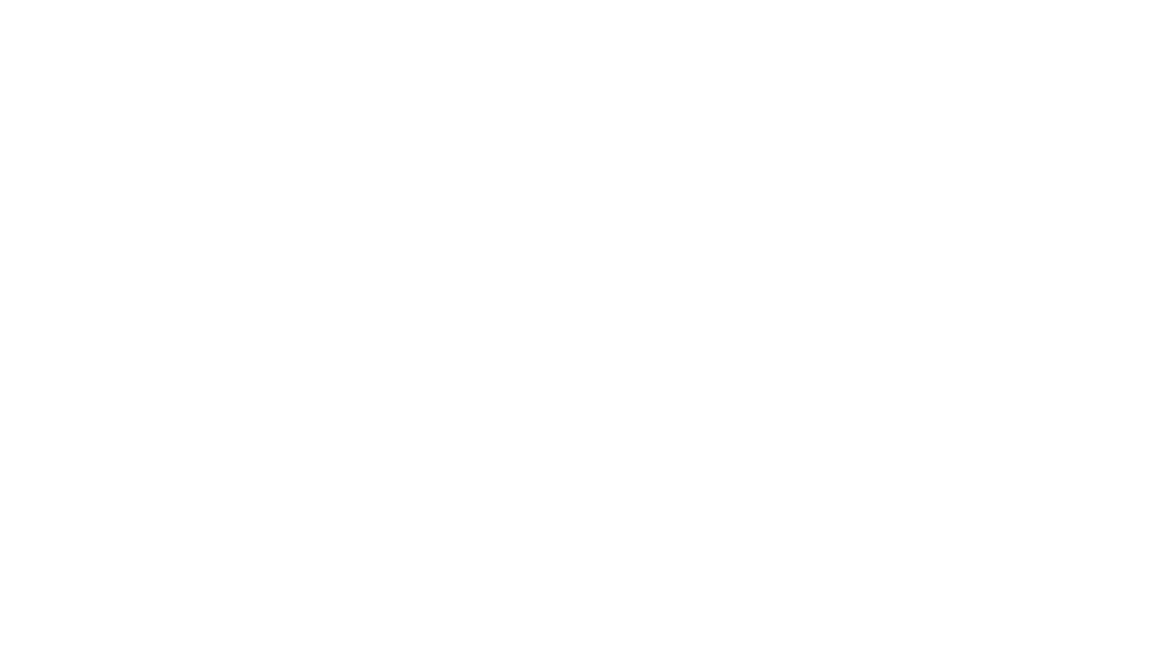 T. Rutemeyer