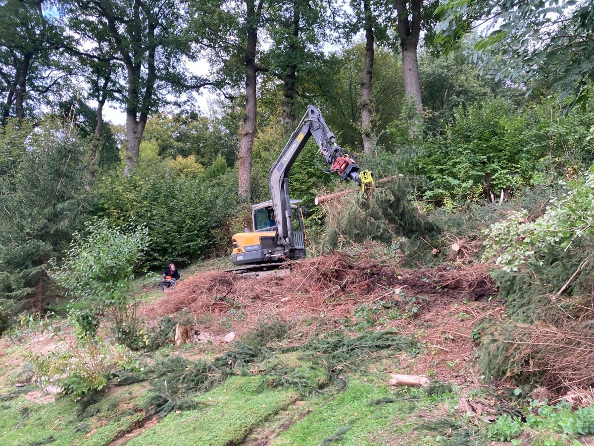 Bagger räumt eine Fläche für die Neuaufforstung