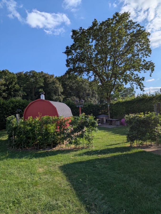 Garten- und Landschaftsbau