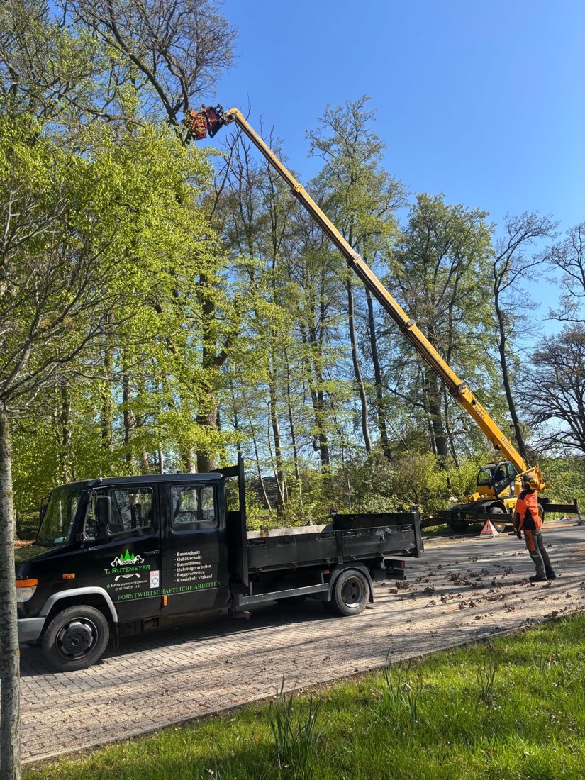Hubsteiger beim Abtragen eines Baumes